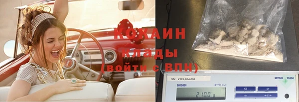 эйфоретик Аркадак