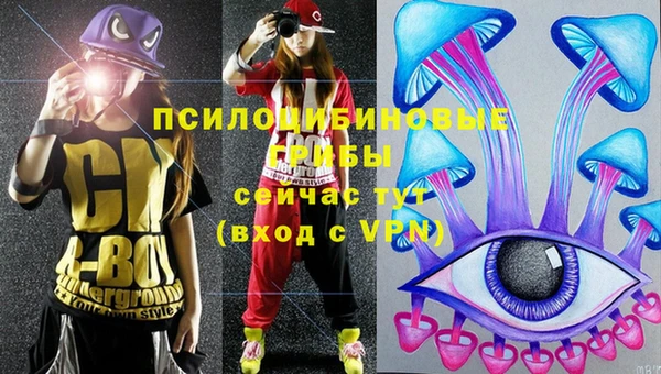 эйфоретик Аркадак